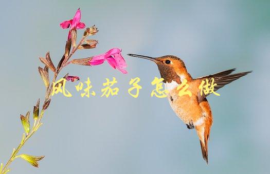 风味茄子怎么做(简单易学的做法分享)-1