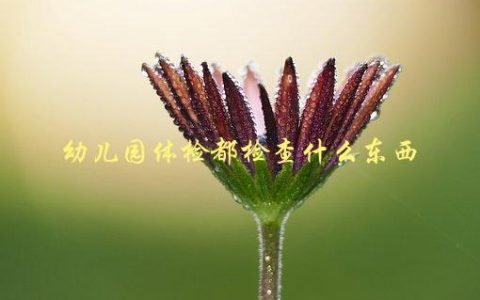 幼儿园体检都检查什么东西，包括哪些项目