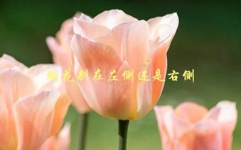 胸花别在左侧还是右侧，穿衣搭配的小技巧