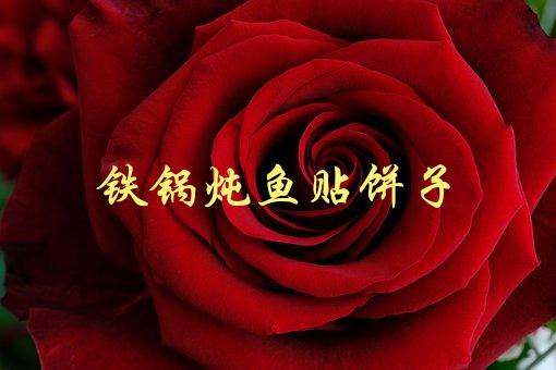 铁锅炖鱼贴饼子(如何做出口感鲜美的美食组合)-1