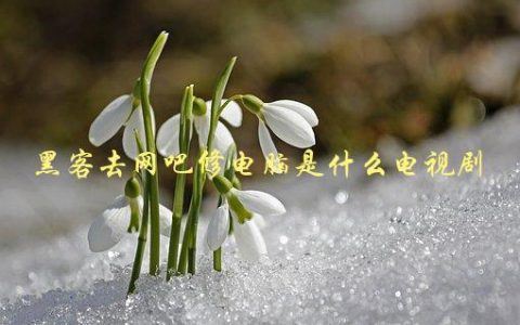 黑客去网吧修电脑是什么电视剧，值得一看的网络安全剧推荐