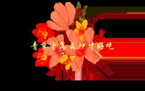 青萝卜怎么炒才好吃，来自厨师的专业建议