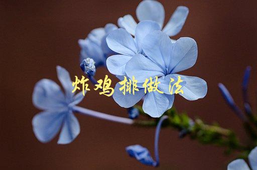 炸鸡排做法(如何做出酥脆美味的炸鸡排)-1