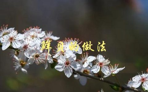 鲜贝的做法(有哪些简单易学的方法)