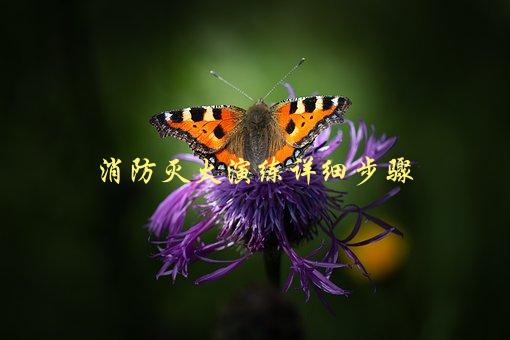消防灭火演练详细步骤，应该如何进行？-1