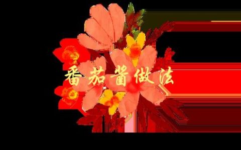 番茄酱做法(怎样做出美味的自制番茄酱)