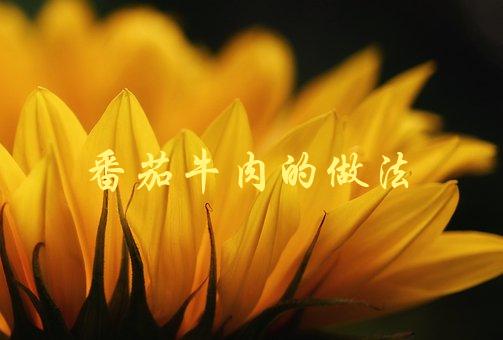 番茄牛肉的做法(怎样才能做出口感嫩滑、味道鲜美的番茄牛肉？)-1