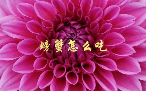螃蟹怎么吃(有哪些技巧和注意事项)
