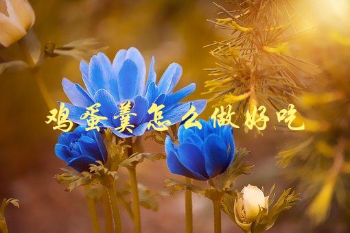 鸡蛋羹怎么做好吃(有哪些技巧和注意事项)-1