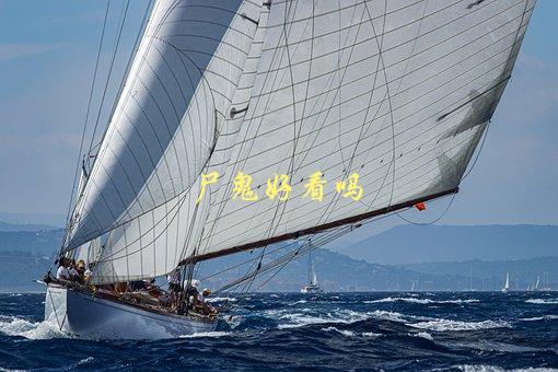 尸鬼好看吗，从视觉效果到剧情评价，一起来看看-1