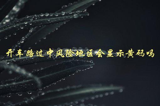 开车路过中风险地区会显示黄码吗，详解疫情防控政策规定-1