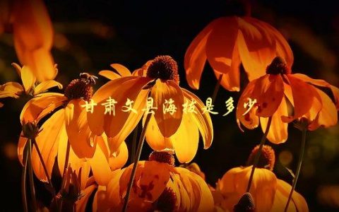 甘肃文县海拔是多少，了解这个县城的高度