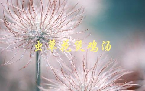 虫草花煲鸡汤(有哪些功效和注意事项)