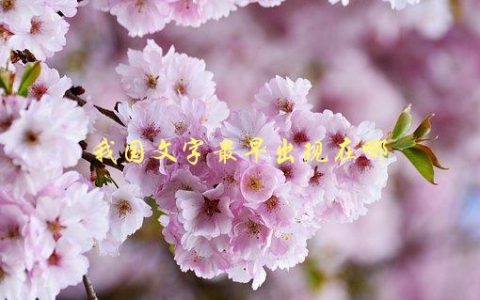 我国文字最早出现在哪，考古学家的新发现