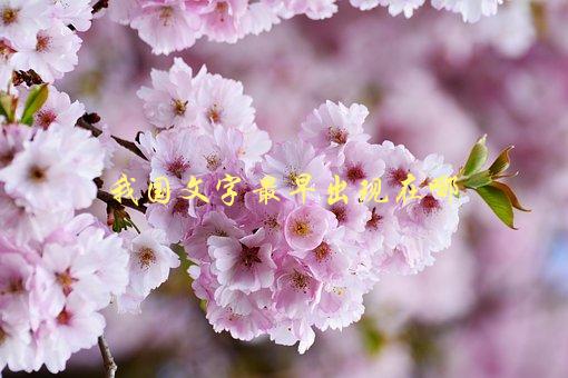我国文字最早出现在哪，考古学家的新发现-1