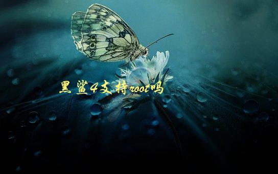 黑鲨4支持root吗，教你如何轻松实现root权限-1