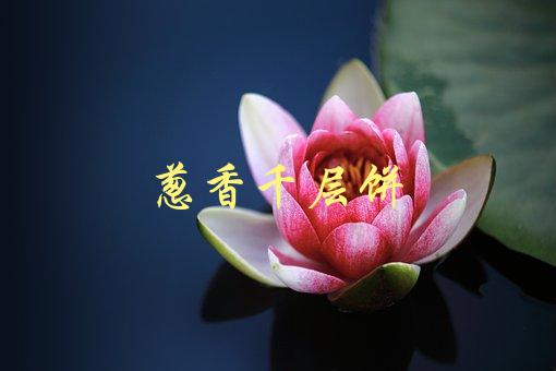 葱香千层饼(如何制作口感酥脆的美味佳肴)-1