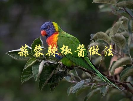 蒜蓉辣椒酱做法(如何制作口感浓郁的家常辣椒酱？)-1