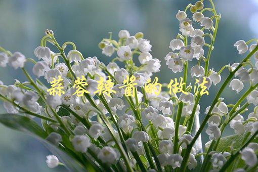 蒜蓉辣酱的做法(怎样制作美味的蒜蓉辣酱？)-1