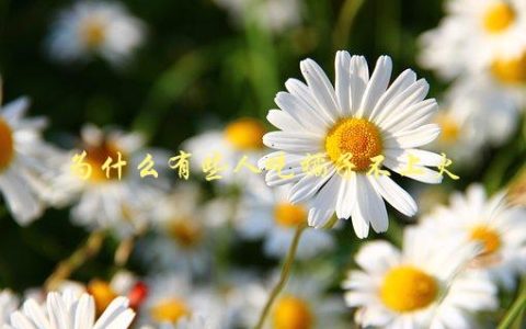 为什么有些人吃橘子不上火，科学揭秘