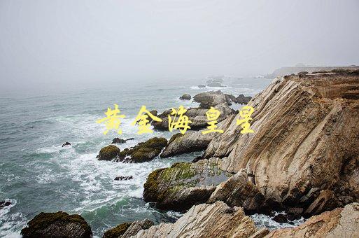 黄金海皇星(是什么？有哪些特征和意义？)-1