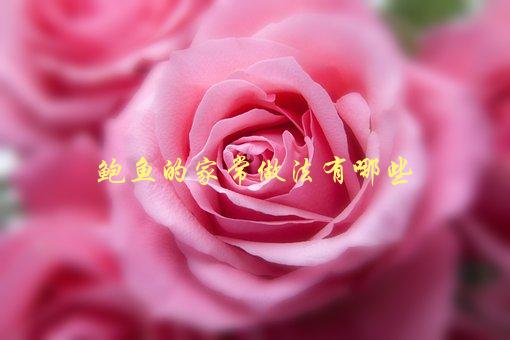 鲍鱼的家常做法有哪些，快来学习做法，轻松享受美味-1