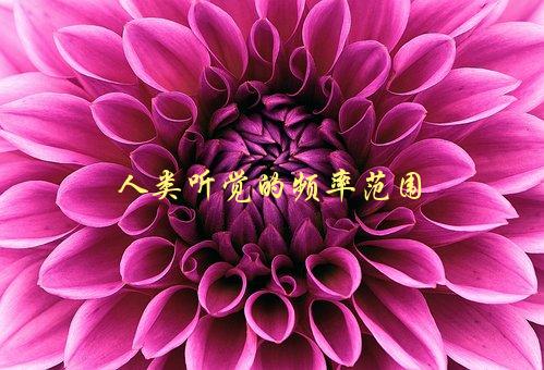 人类听觉的频率范围，你知道吗？-1