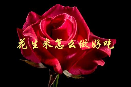 花生米怎么做好吃(有哪些简单易学的做法)-1