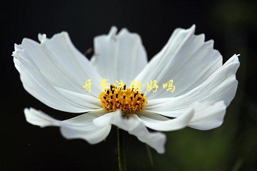 牙膏洗脸好吗，专家解答洗脸误区-1