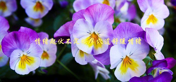 情绪起伏不定按摩穴道舒缓情绪，哪些穴位最有效？-1