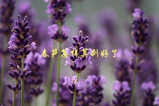 春笋怎样算剥好了，有哪些方法和技巧-1