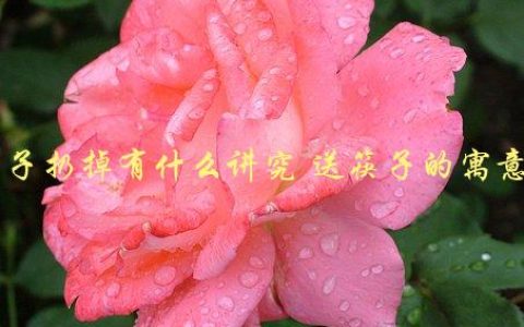 筷子扔掉有什么讲究，送筷子的寓意是什么？