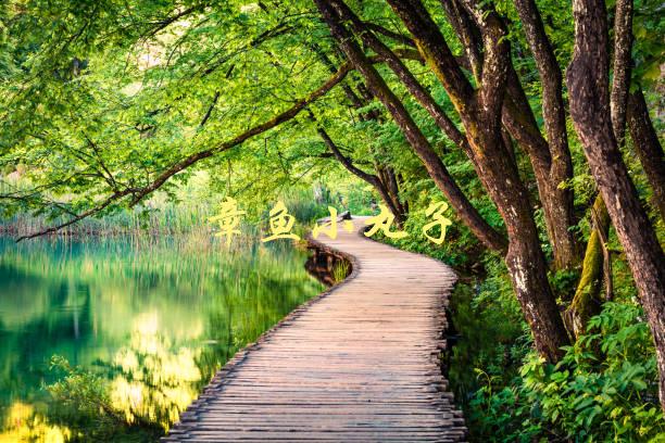 章鱼小丸子(为什么这么受欢迎？)-1