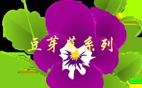 豆芽菜系列(如何种植、营养价值及美食做法)
