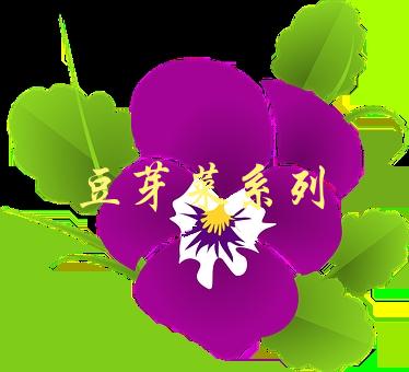 豆芽菜系列(如何种植、营养价值及美食做法)-1