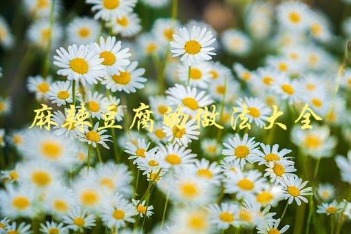麻辣豆腐的做法大全(怎样才能做出口感鲜美的麻辣豆腐？)-1