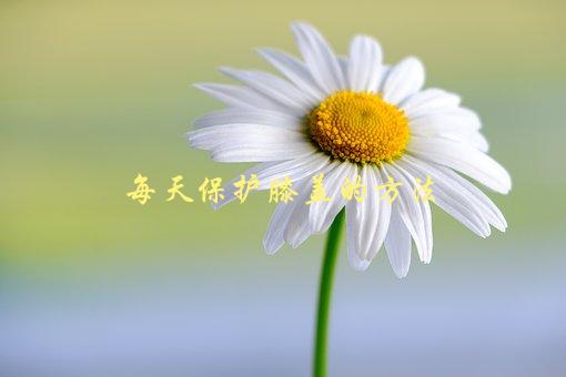 每天保护膝盖的方法，有哪些简单易行的小贴士-1