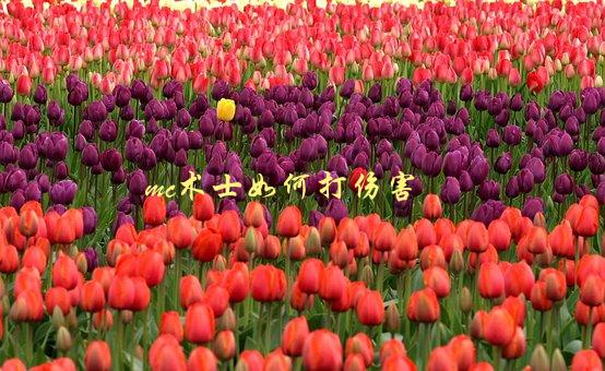 MC术士如何打伤害，攻略分享-1
