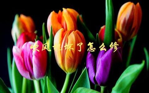 吹风机坏了怎么修，简单易行的修理方法