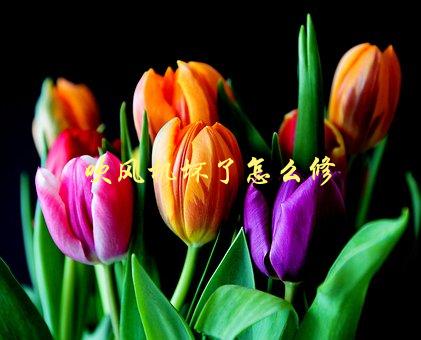 吹风机坏了怎么修，简单易行的修理方法-1