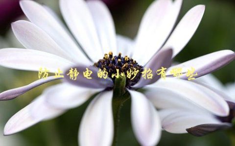 防止静电的小妙招有哪些，让你告别静电困扰