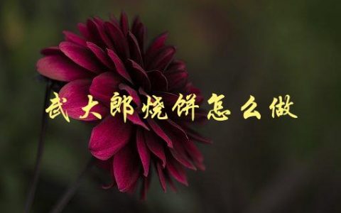 武大郎烧饼(如何制作地道美味的武汉小吃)