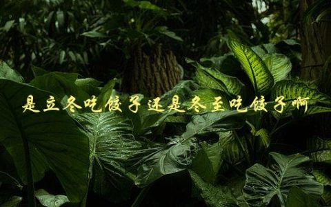 是立冬吃饺子还是冬至吃饺子啊，中国传统节气饮食文化解析