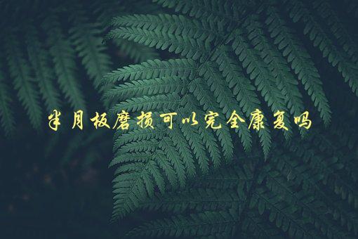 半月板磨损可以完全康复吗，有哪些治疗方法和注意事项-1