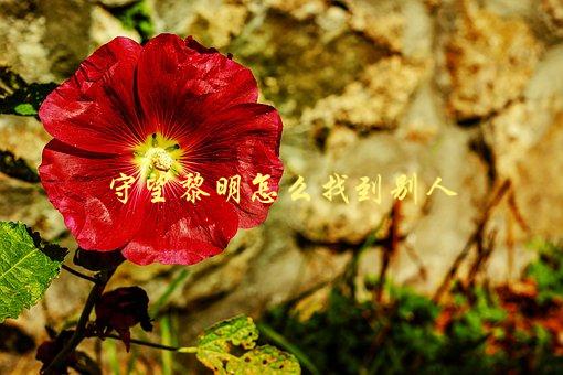 守望黎明怎么找到别人，快速定位队友位置的技巧-1