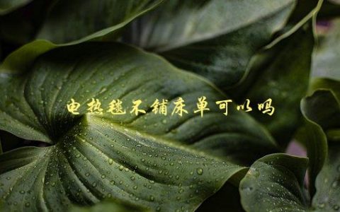 电热毯不铺床单可以吗，使用电热毯的正确方法