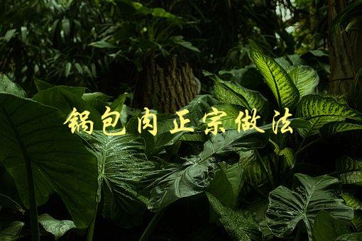锅包肉正宗做法(如何做出口感酥脆、味道鲜美的锅包肉？)-1