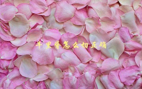 牛里脊怎么切正确，应该注意哪些细节