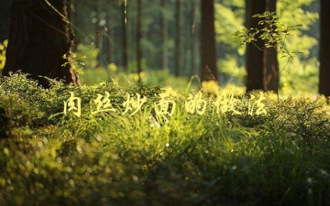 肉丝炒面的做法(如何做出口感鲜美的肉丝炒面)