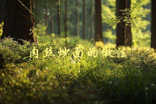 肉丝炒面的做法(如何做出口感鲜美的肉丝炒面)-1